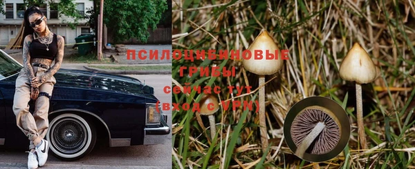 бошки Бронницы