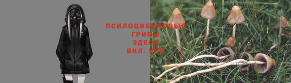меф Богородск