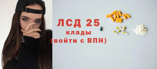 эйфоретик Бородино