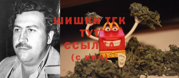 эйфоретик Бородино