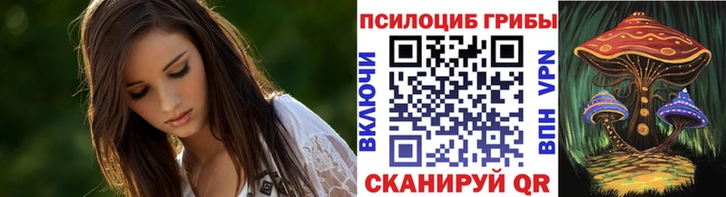 Псилоцибиновые грибы GOLDEN TEACHER  где купить   Дигора 